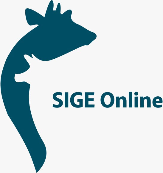 SIGE online logo